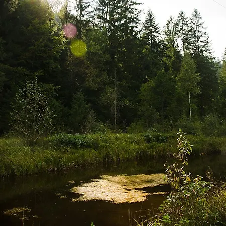 Kryvorizka Palanka *