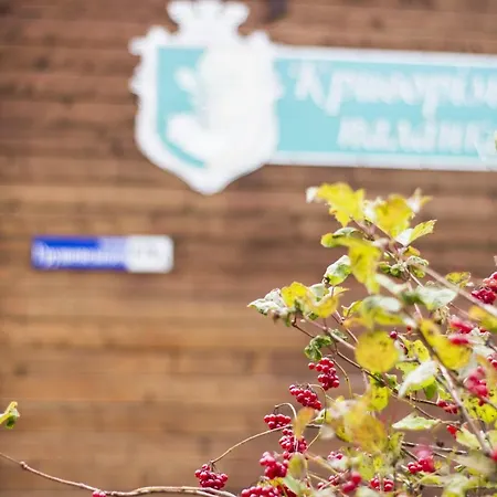 Kryvorizka Palanka Guest house *