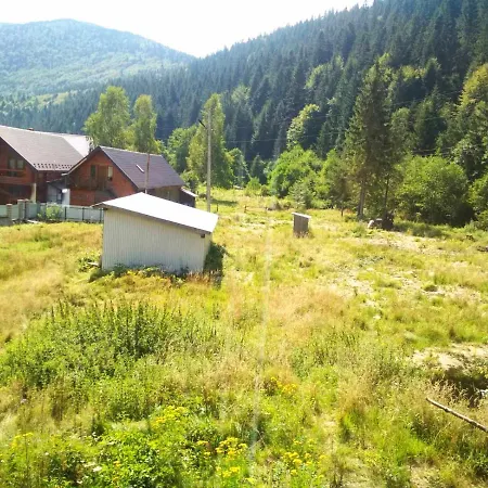 Kryvorizka Palanka Mykulyčyn