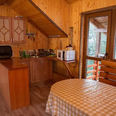 Kryvorizka Palanka Mykulyčyn