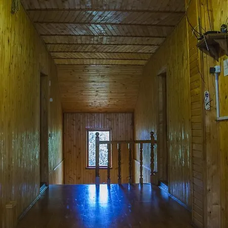 Kryvorizka Palanka Mykulyčyn